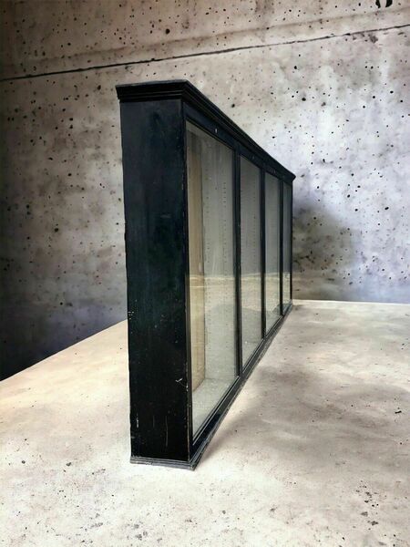 Huge early mid c20th black school lab shop display cabinet wall cupboard – A rare vintage treasure